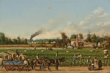 A Cotton Plantation on the Mississippi