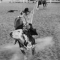 Blake Little<br />
  <em>Bull Riding, Oklahoma City, Oklahoma</em>, 1989<br />
  archival  pigment printed on Epson exhibition fiber paper, 12 x 12 inches<br />
Loan courtesy of Blake Little.