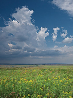 The Nature Conservancy of Oklahoma