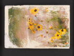Jane Green, <em>Wildflowers</em>, 2019, photo-fresco