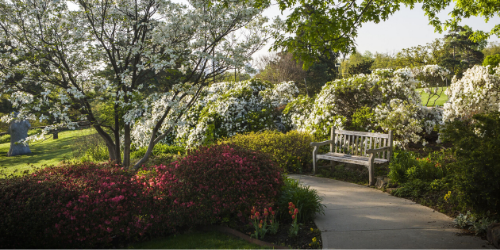 Tour the Gardens