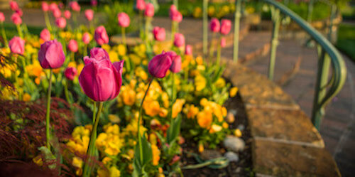 Celebrate Mother's Day at Gilcrease